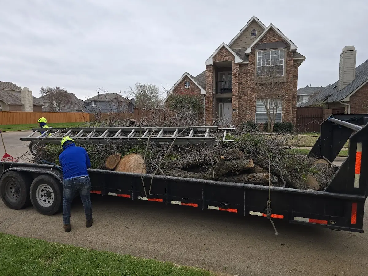 Expert Tree Fertilization with proper safety equipment in Spring Hill